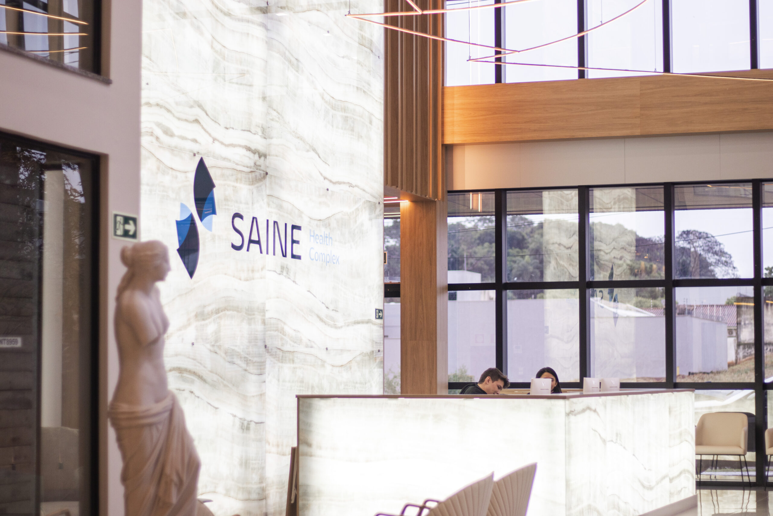 saine2